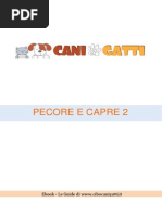 Download Pecore Capre 2 by cibocanigatti SN184487243 doc pdf