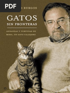 muñeco gato