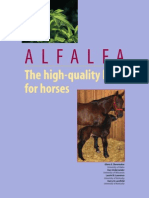 High-quality hay for horses: The benefits of alfalfa