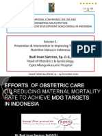 03 - Dr Budi Iman Santoso Brief Outline as Panel Member