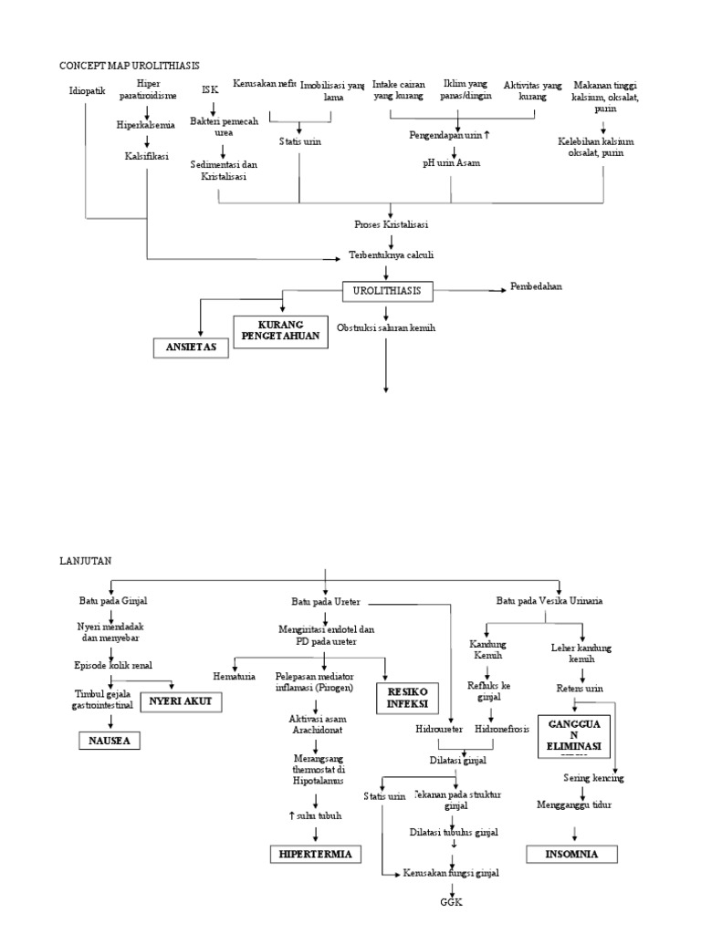 Pathway Urolithiasis