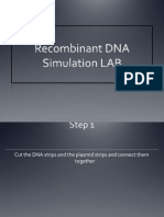 recombinant dna lab