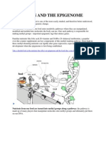 NUTRITION AND THE EPIGENOME.docx