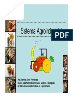 Sistema Agroindustrial: Introdução e Análise