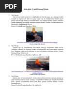 Download Tipe Erupsi Gunung Berapi  by Wida Nur Hasan SN184620301 doc pdf