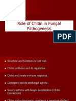 Role of Chitin in Fungal Pathogenesis and Immune Response