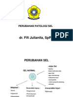 PERUBAHAN PATOLOGI SEL Edit-Dr Fifi Julianita-Ada