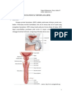 Benigna Prostat Hiperplasia (BPH) : Sumber