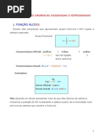 Quimica Aula 22 Funcoes Organicas Oxigenadas e Nitrogenadas[1]