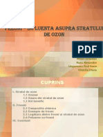 Freoni - Inflenta Asupra Stratului de Ozon