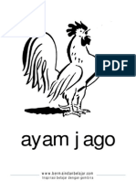 Ayam Jago - Mewarnai