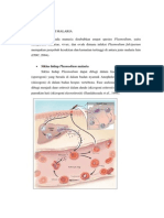 Patofisiologi Malaria