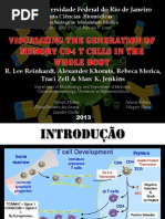 Visualizing the Generation of Memory CD4 T Cells