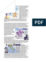 As Principais Areas Industriais Da Europa PDF