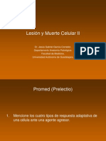 Tema 2 Lesión y Muerte Celular II