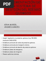 IMPLEMENTACIÓN DE UN SISTEMA DE GESTION DEL RIESGO