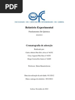 Relatorio - Cormatografia por adsorção (final).pdf