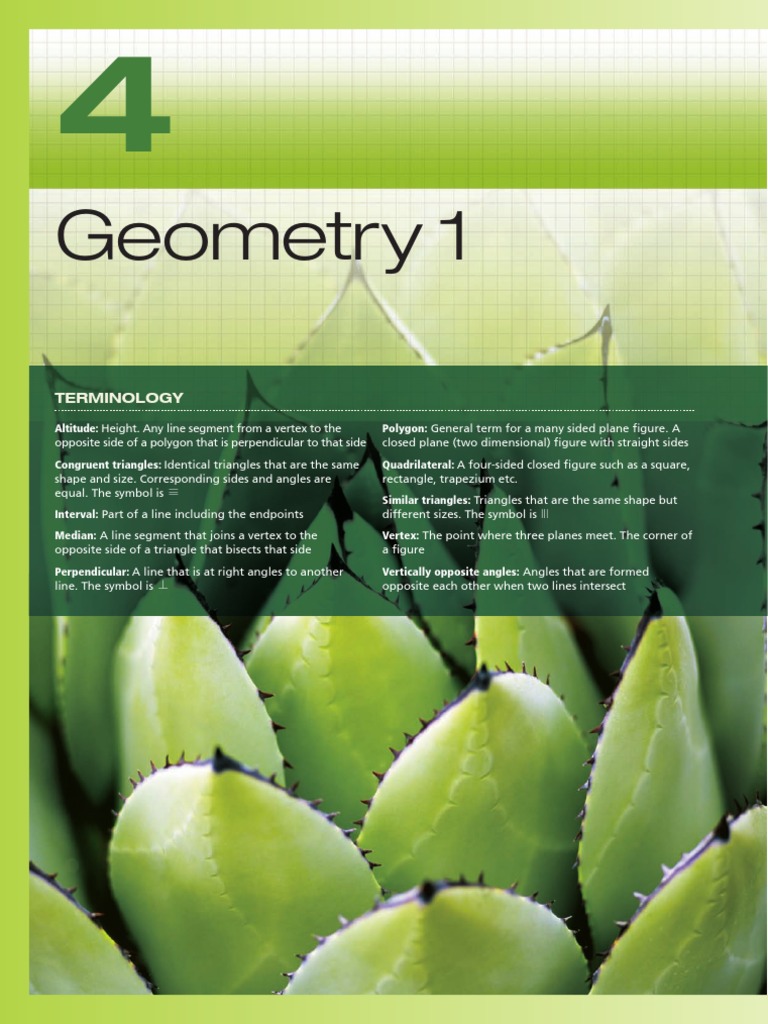 Geometry 1 I | PDF | Teaching Methods & Materials | Science & Mathematics