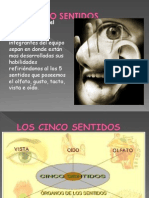 Los Cinco Sentidos