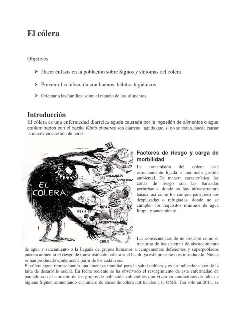 COLERA | PDF | Cólera | Diarrea