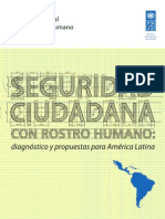 Informe SEGURIDAD CIUDADANA (PNUD 2013)