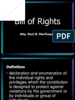 Bill of Rights Powerpoint