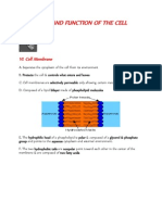 Notes On Cell Organelles