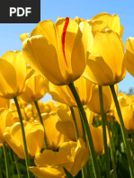 Green Marketing.farhajan