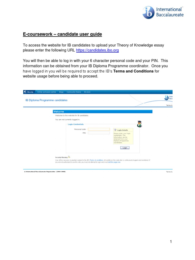 IB Candidate E-Coursework Guide | PDF