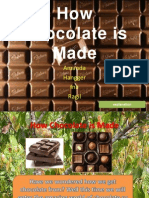 How Chocolate Is Made - Explanation Text