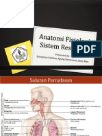 Anatomi Fisiologi Sistem Respirasi