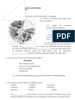 6º Ano - Alimentação e Nutrientes