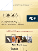 HONGOS 2009.ppt