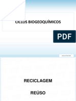 Ciclos Biogeoquímicos