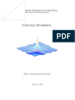 Apostila - Cálculo Numérico - Univ Federal De Uberlândia (Português Br)