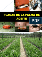 2 - PLagas de La Palma