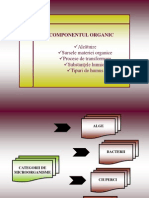 3.2. Partea Solida-Componentul Organic 2