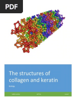 Download Collagen by kaditasookdeo SN184895985 doc pdf