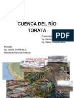 Toyata Nieto PDF