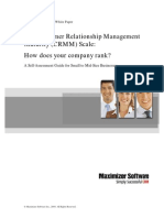 CRM Management Maturity Scale