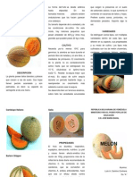Cultivo y propiedades del melón veraniego