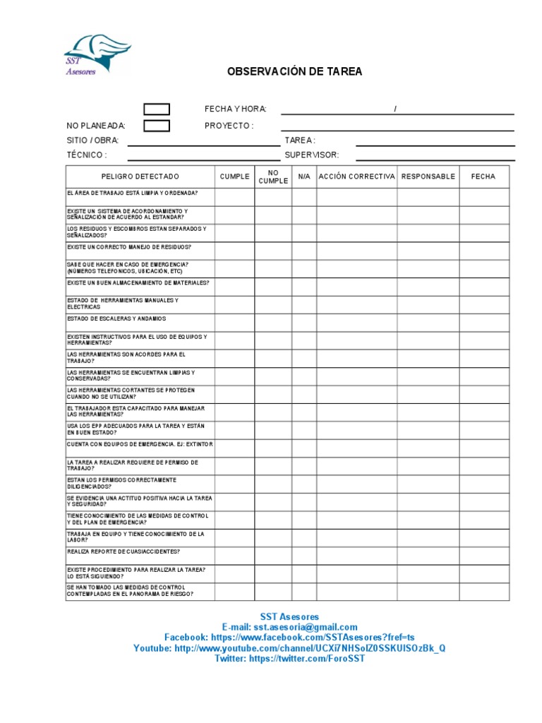 Formato De Observación De Tareas