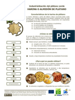 2.Harina de Platano (1)