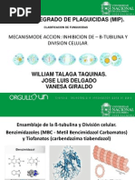 EXPO - Fungicidas