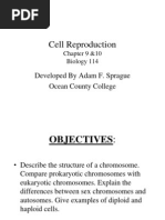 Week 7 Mitosis and Genetics