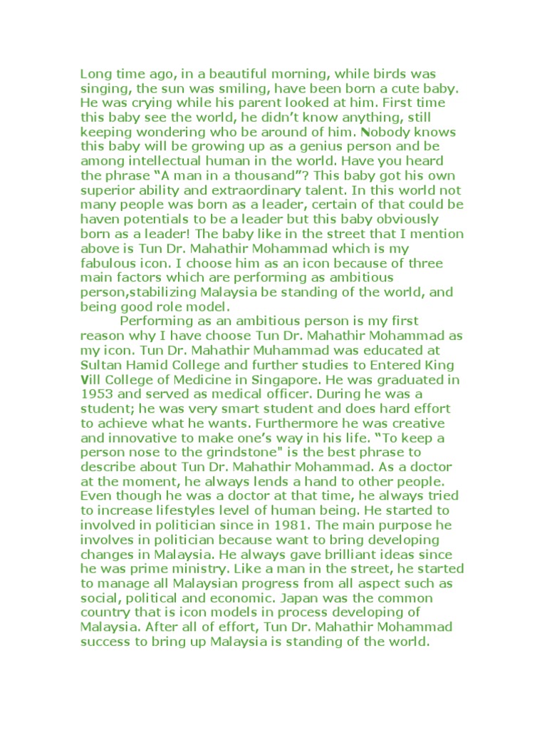 My idol my inspiration essay image