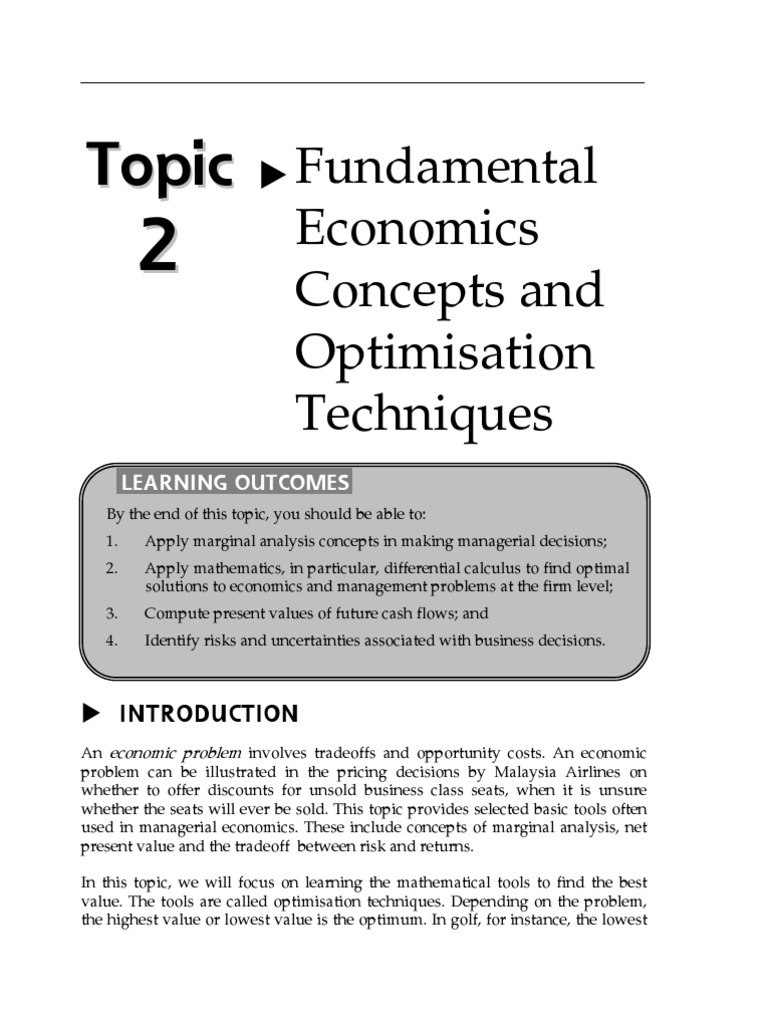 Optimization Techniques in Economics | PDF | Net Present Value | Risk