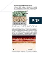 Análisis Estratigráfico de Muestras Pictóricas