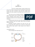 OS Ulkus Kornea Ec Suspek Bakterial DD Endoftalmitis