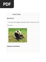 Download Giant Panda Presentation by sunnycuts SN18506729 doc pdf